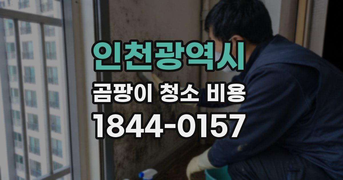 인천광역시 곰팡이 청소 비용
