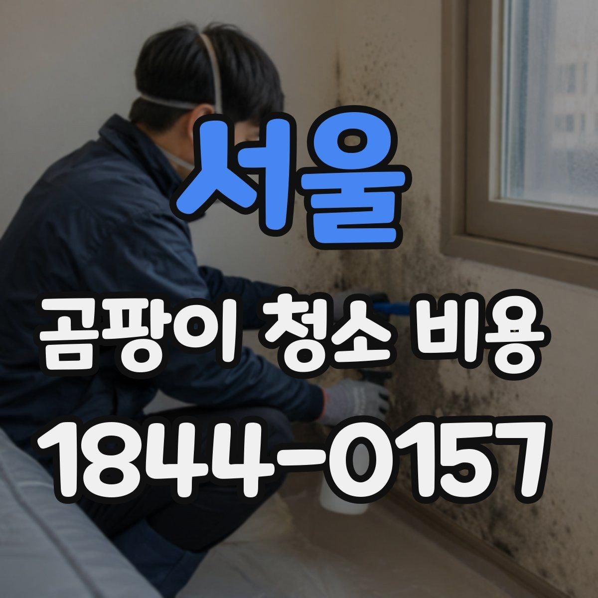 서울 곰팡이 청소 비용 결로 원인 점검이 함께 필요한 경우