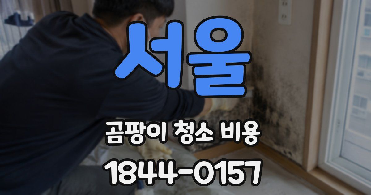 서울 곰팡이 청소 비용