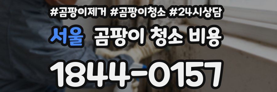 서울 곰팡이 청소 비용