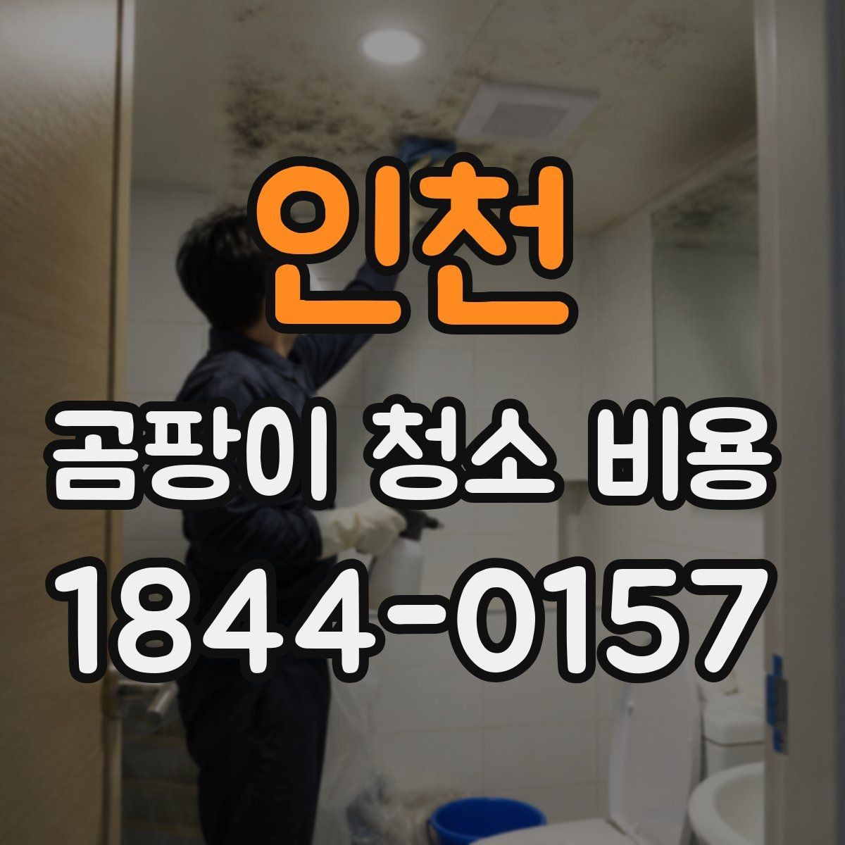 인천 곰팡이 청소 비용 벽지·실리콘 오염에 따라 달라지는 작업 방식