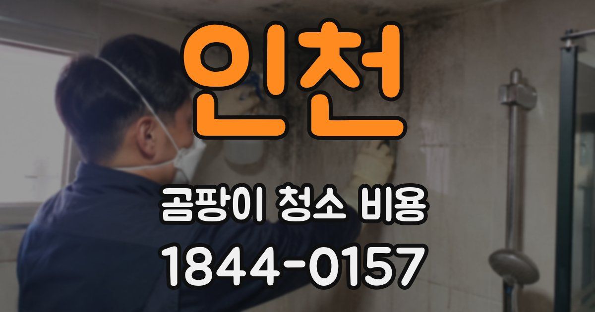 인천 곰팡이 청소 비용