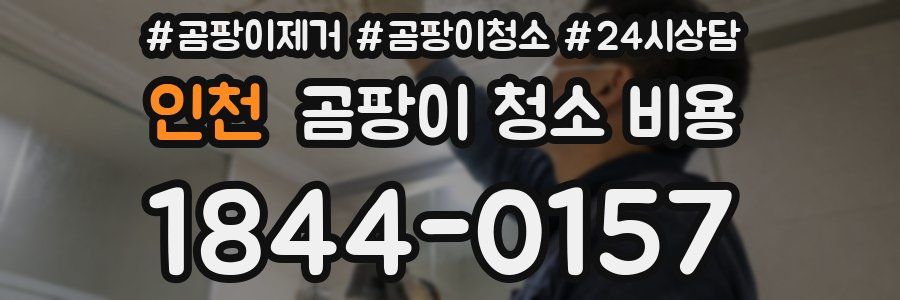 인천 곰팡이 청소 비용