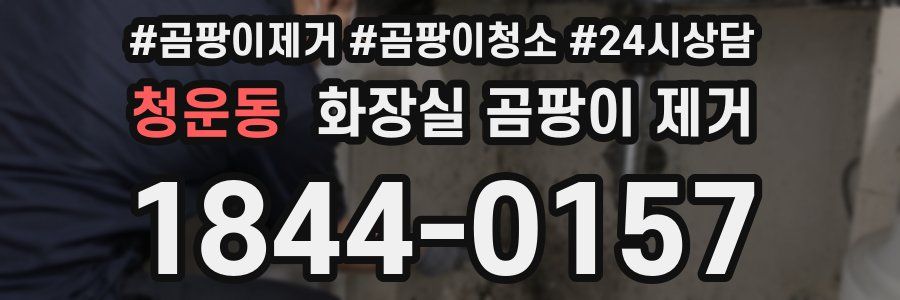 청운동 화장실 곰팡이 제거