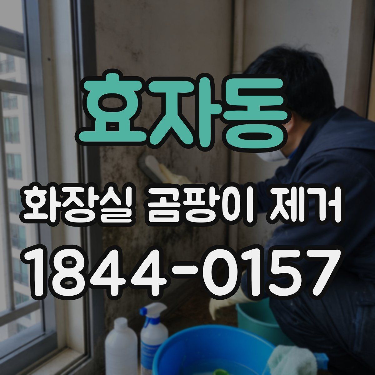 효자동 화장실 곰팡이 제거 물때와 섞인 얼룩을 구분하는 체크 포인트
