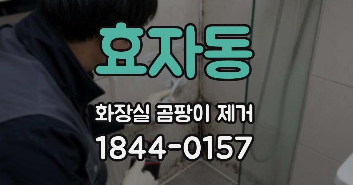 효자동 화장실 곰팡이 제거