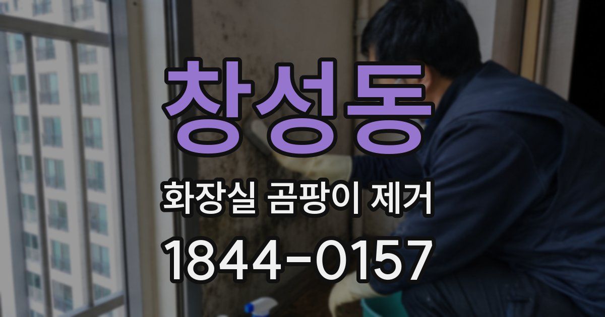 창성동 화장실 곰팡이 제거