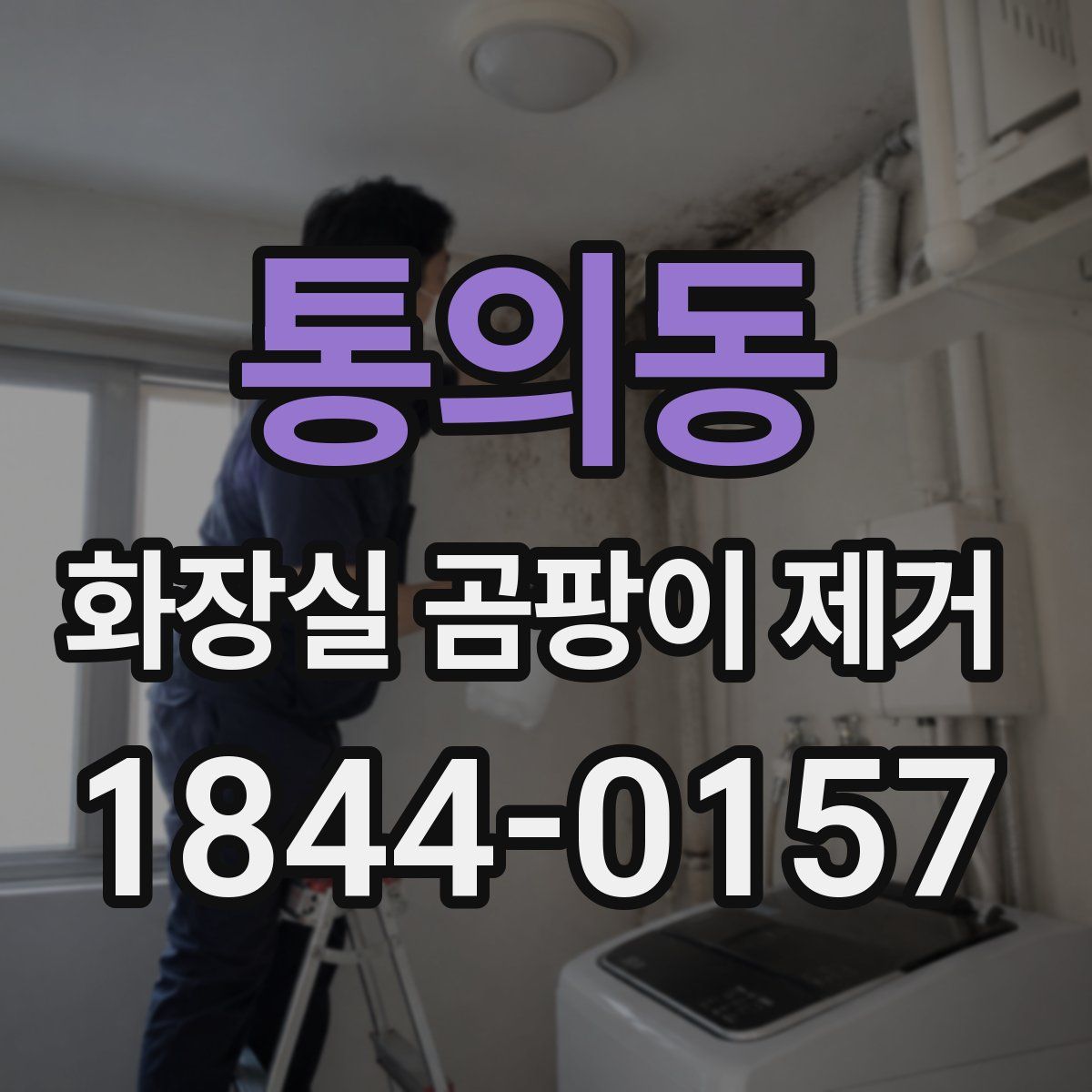 통의동 화장실 곰팡이 제거