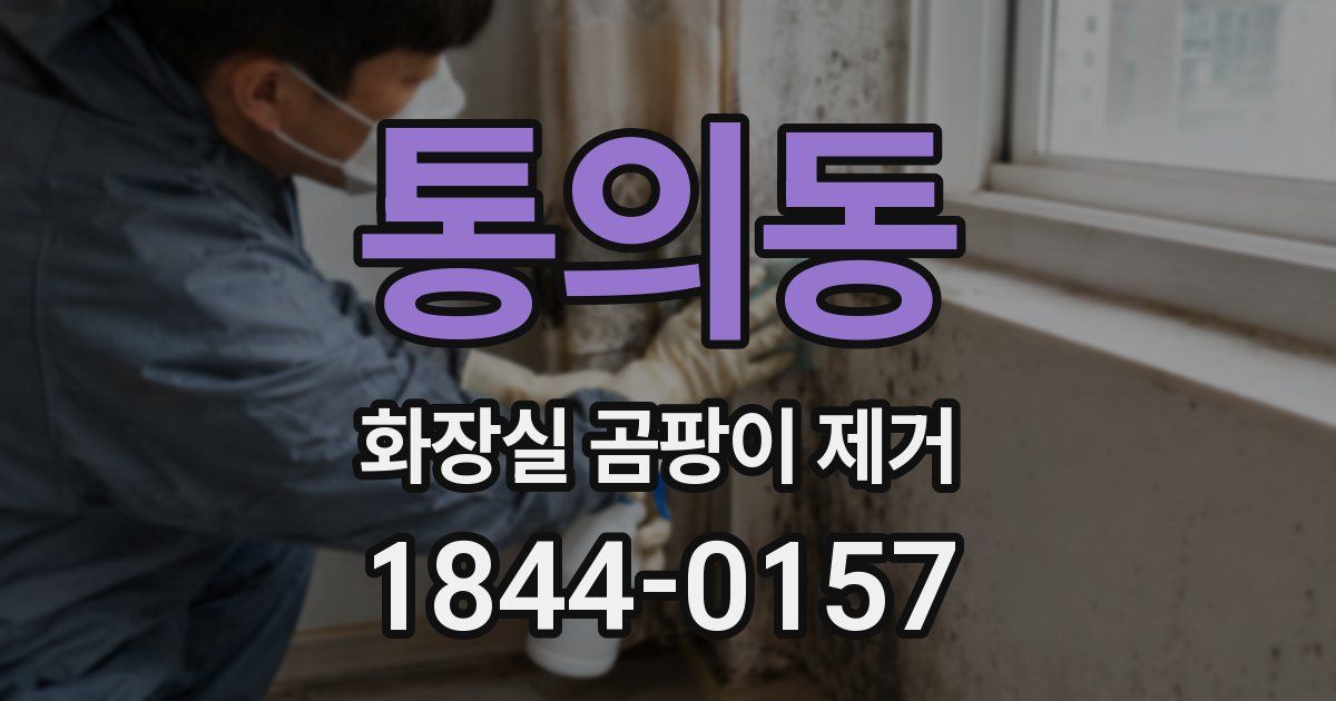 통의동 화장실 곰팡이 제거