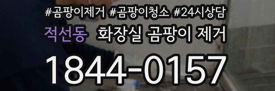 적선동 화장실 곰팡이 제거