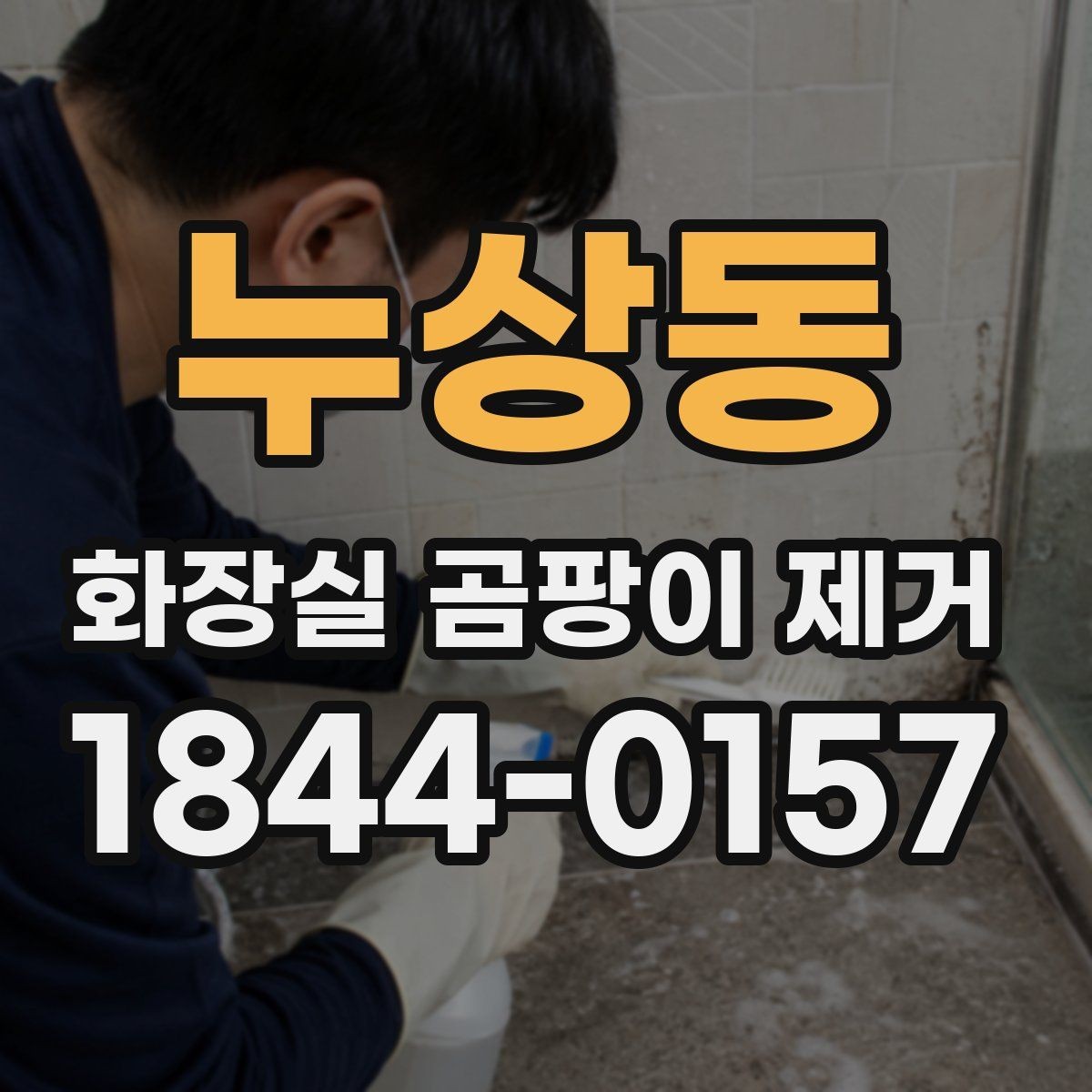 누상동 화장실 곰팡이 제거 셀프로 할지 전문가가 볼지 판단하는 기준