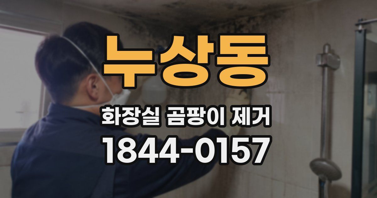 누상동 화장실 곰팡이 제거