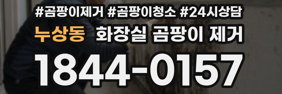 누상동 화장실 곰팡이 제거
