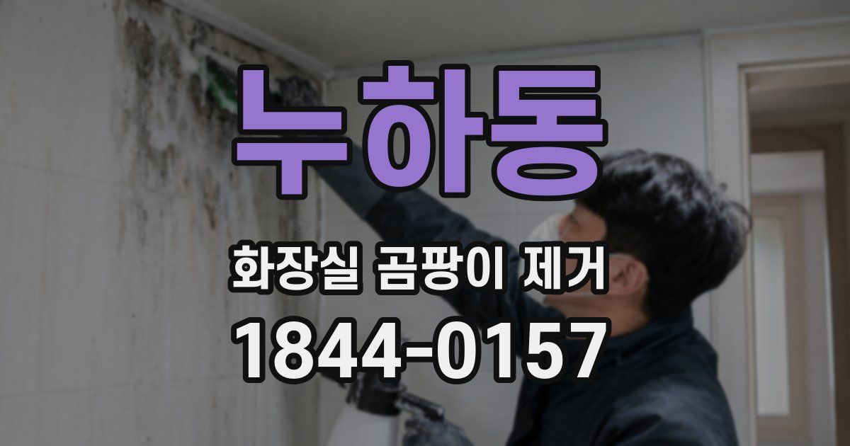누하동 화장실 곰팡이 제거