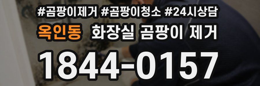 옥인동 화장실 곰팡이 제거