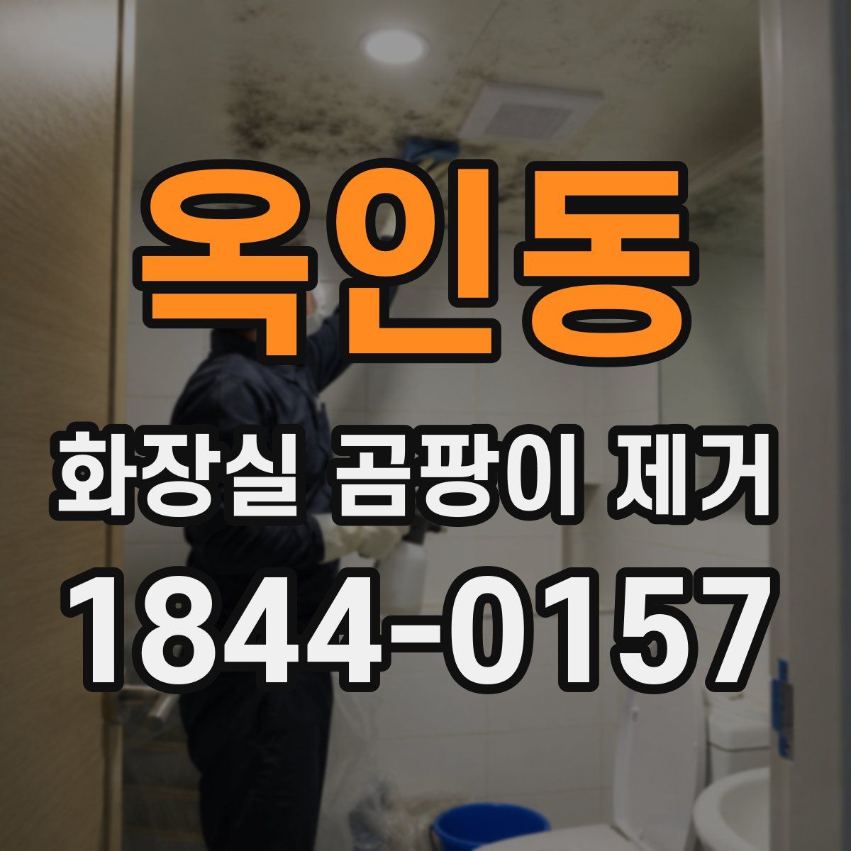 옥인동 화장실 곰팡이 제거