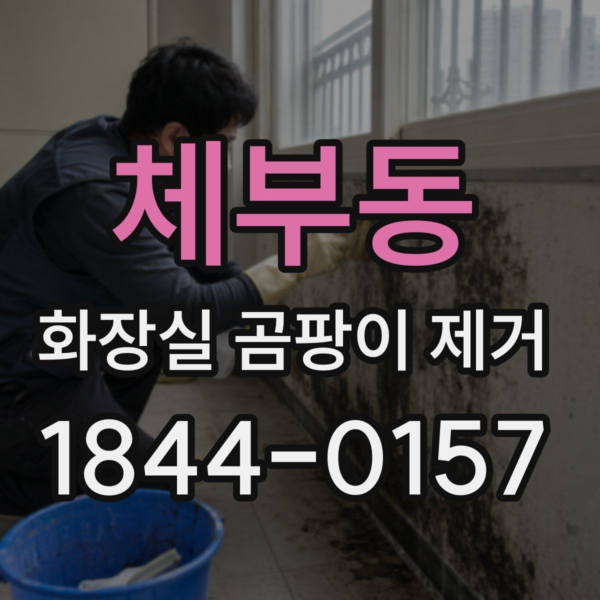 체부동 화장실 곰팡이 제거