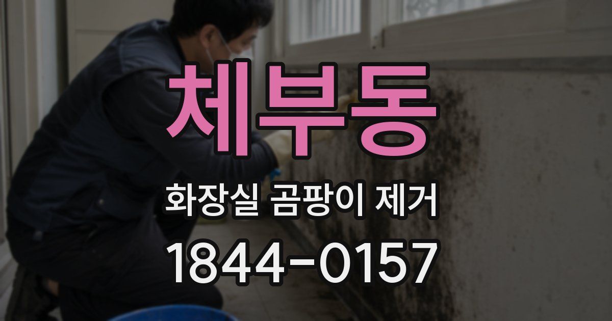 체부동 화장실 곰팡이 제거