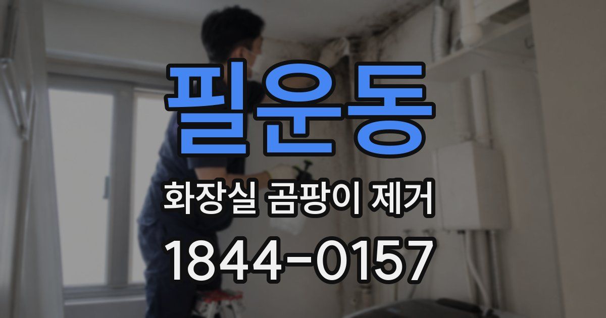필운동 화장실 곰팡이 제거
