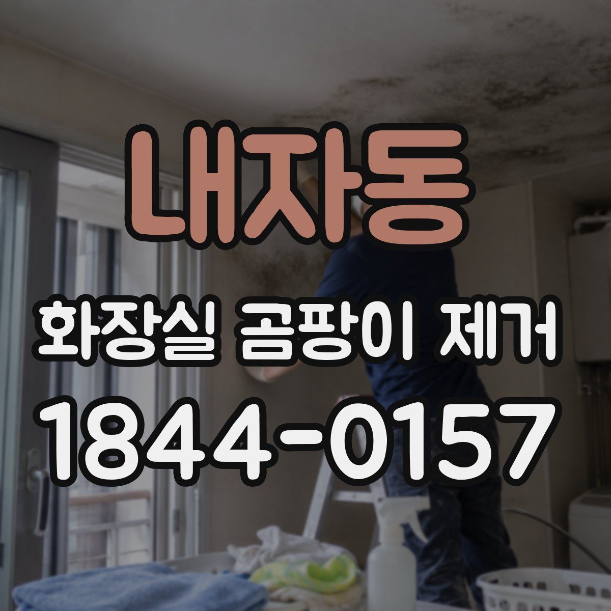 내자동 화장실 곰팡이 제거