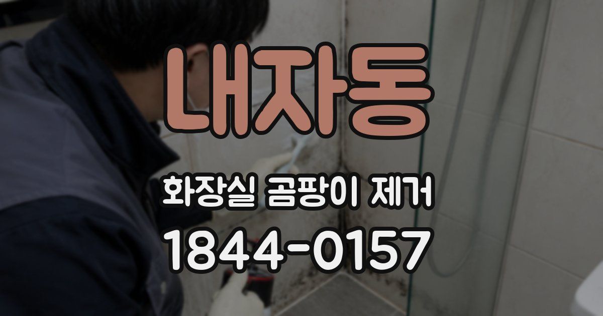 내자동 화장실 곰팡이 제거