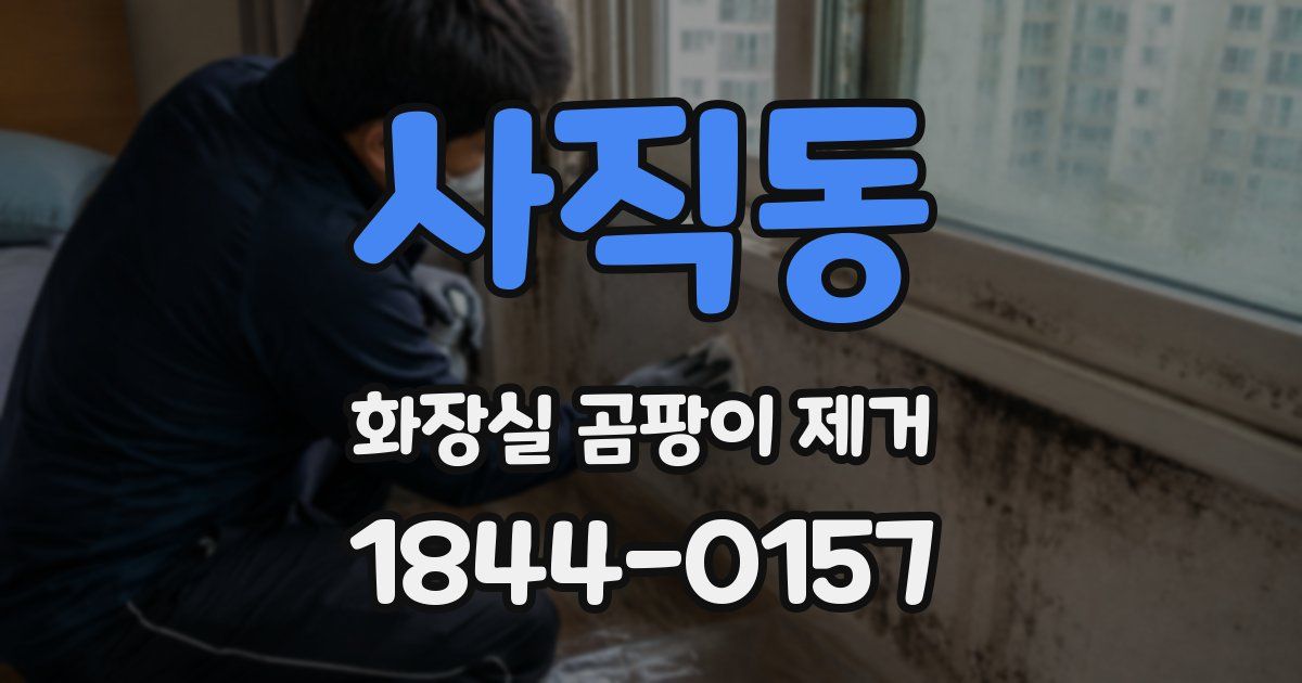 사직동 화장실 곰팡이 제거