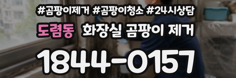 도렴동 화장실 곰팡이 제거