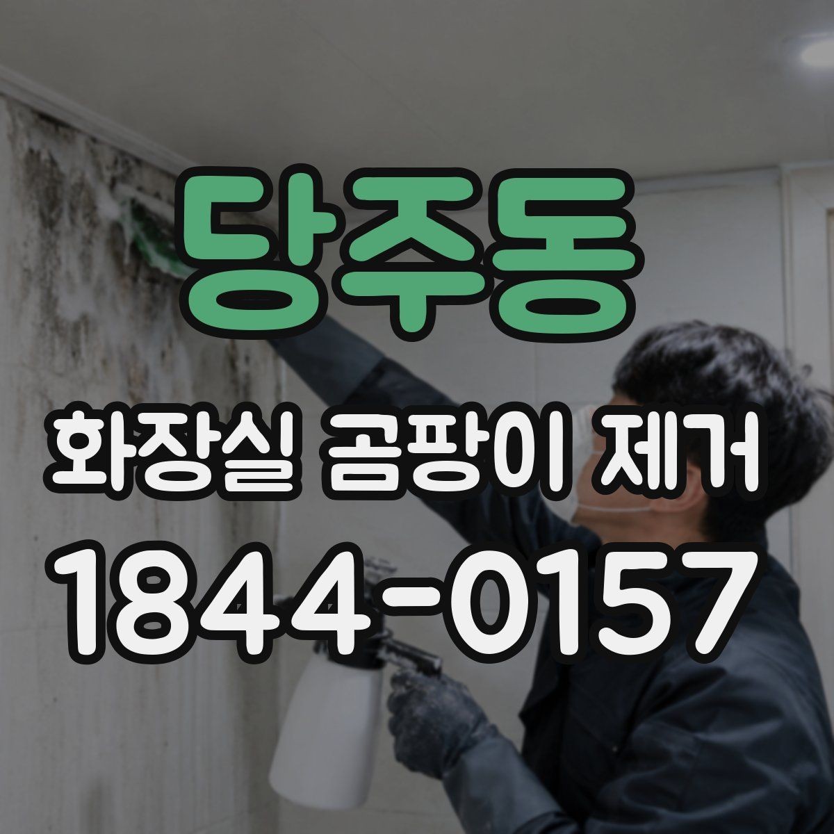 당주동 화장실 곰팡이 제거 전 준비물부터 챙기는 청소 순서