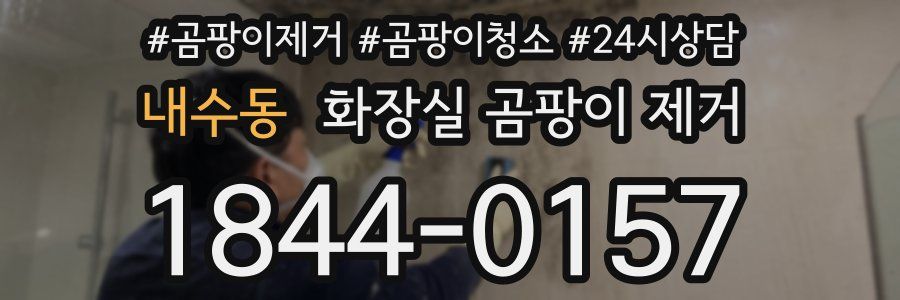 내수동 화장실 곰팡이 제거