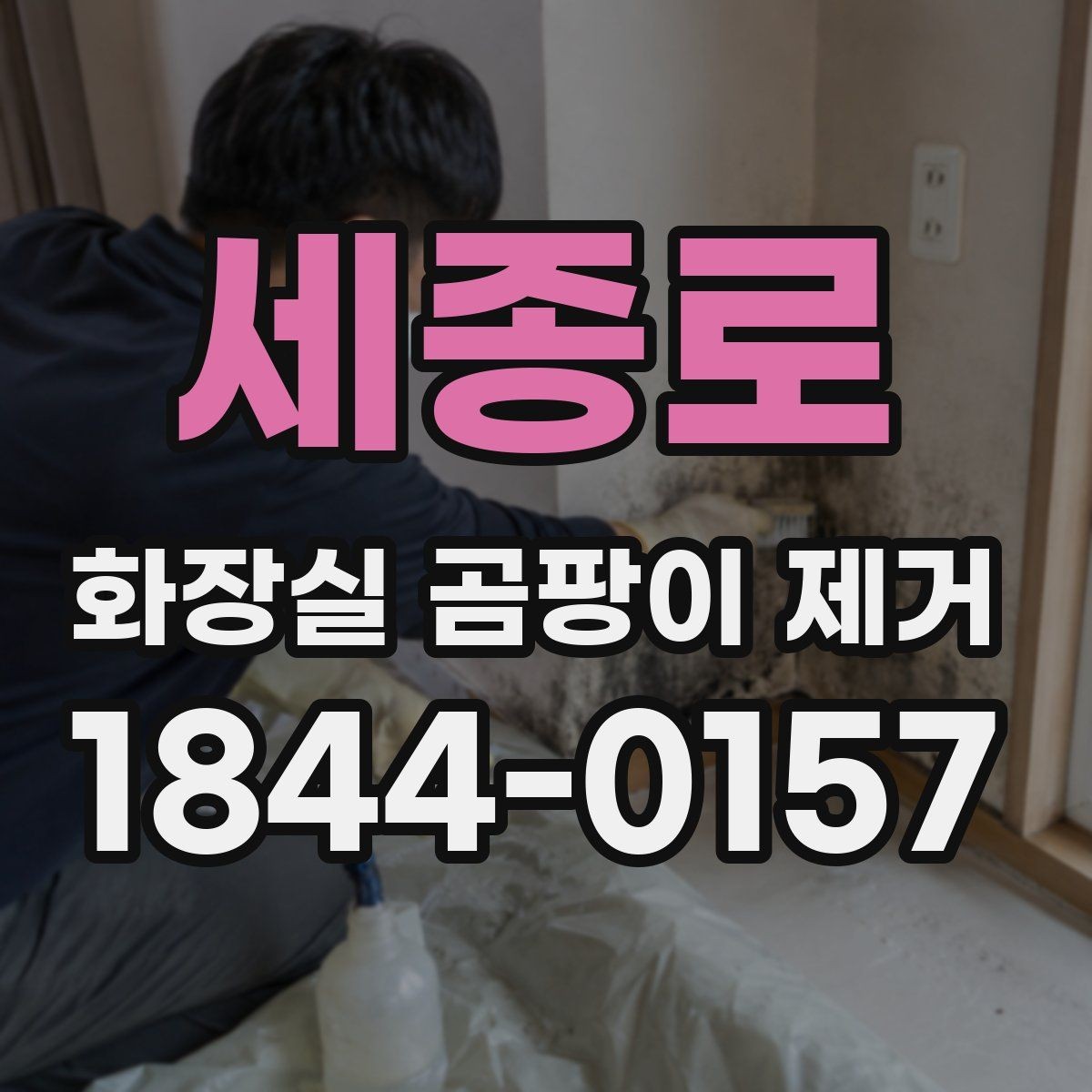 세종로 화장실 곰팡이 제거 청소보다 먼저 누수와 습기를 보는 이유
