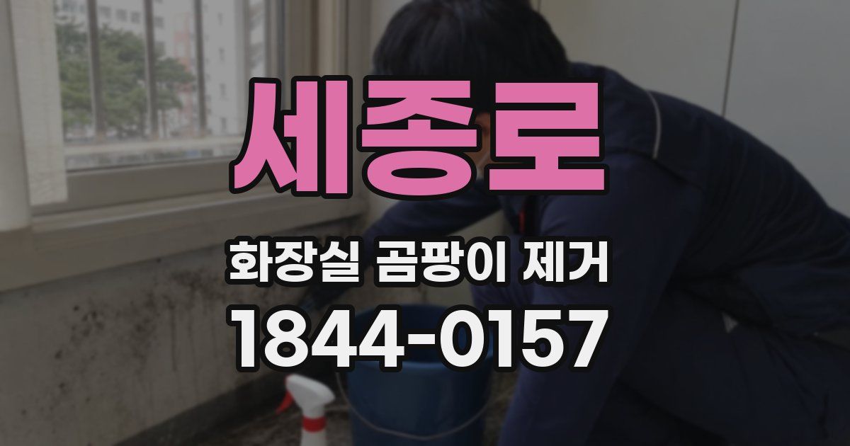세종로 화장실 곰팡이 제거