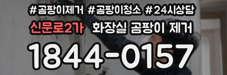 신문로2가 화장실 곰팡이 제거