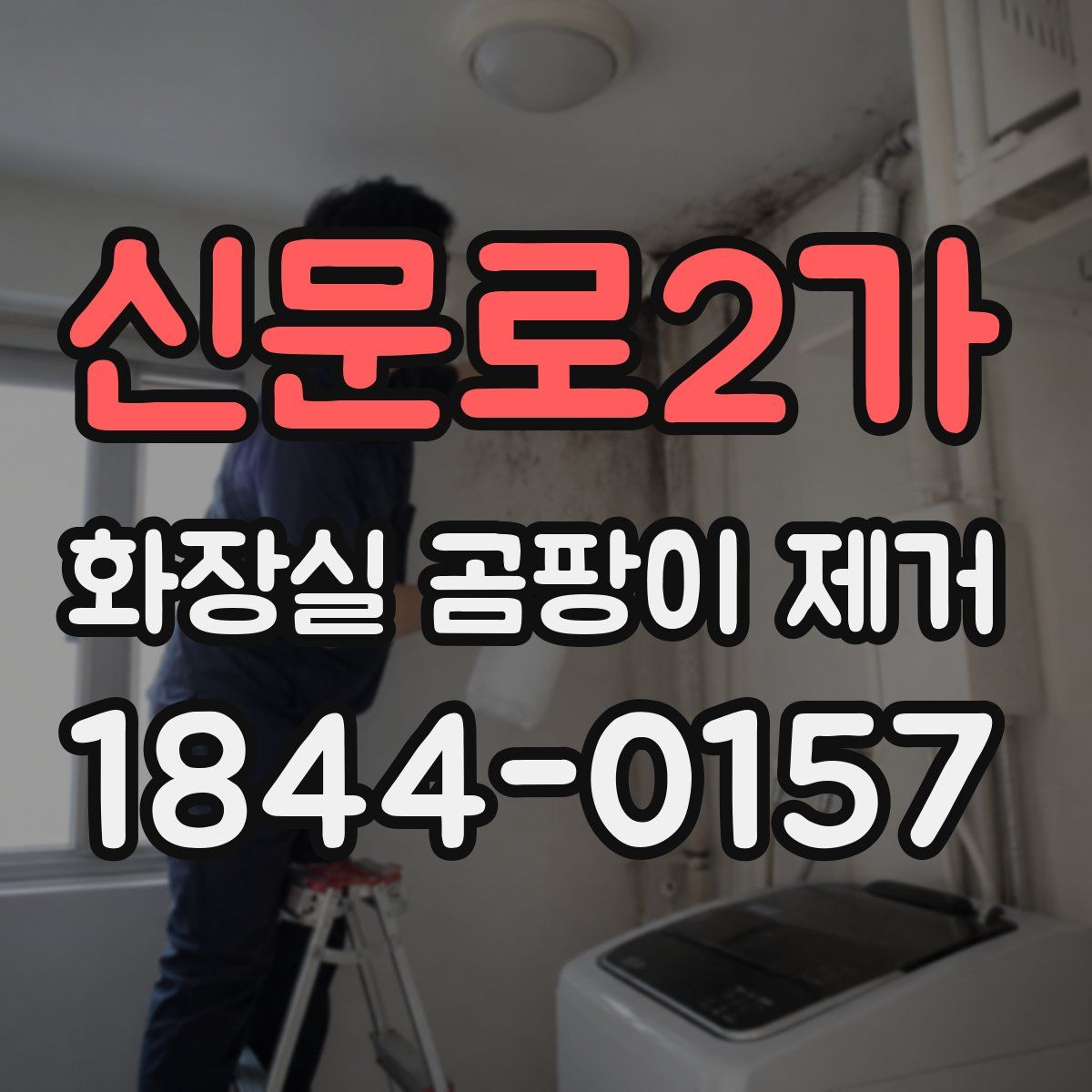 신문로2가 화장실 곰팡이 제거