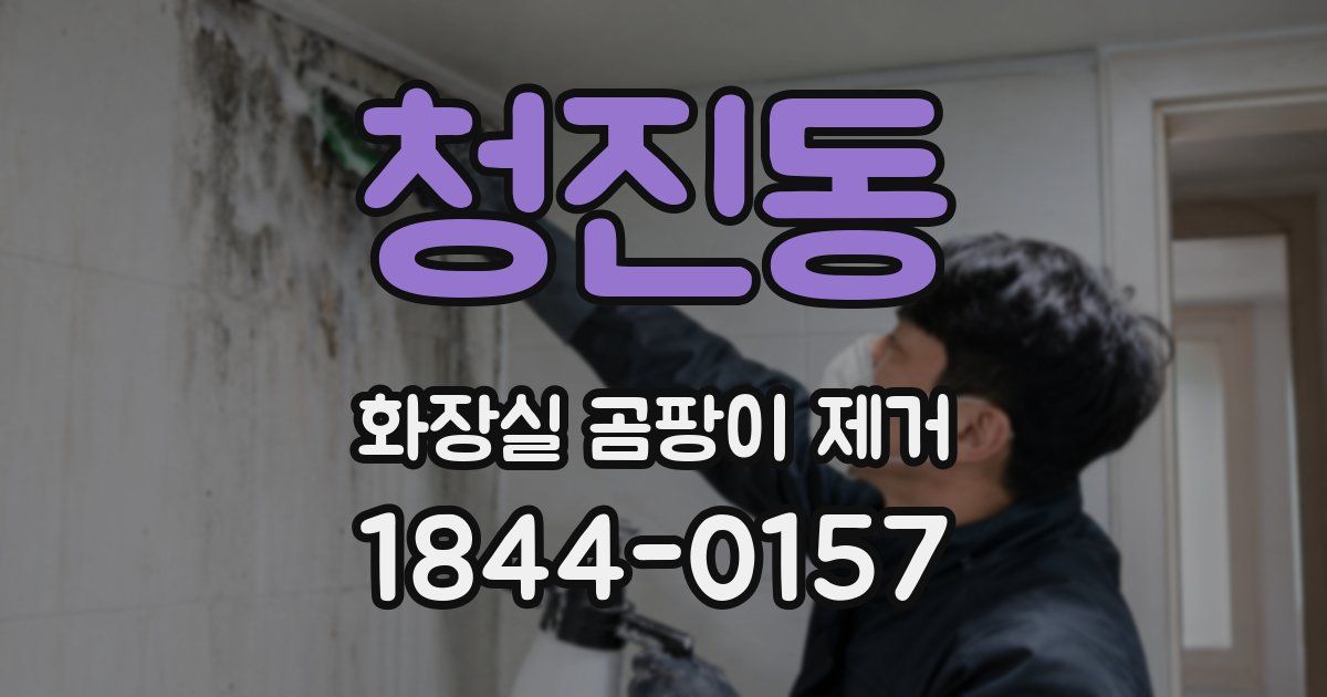 청진동 화장실 곰팡이 제거