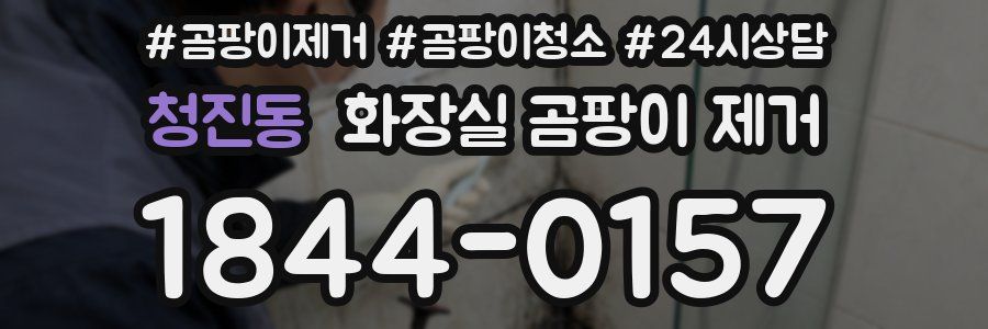 청진동 화장실 곰팡이 제거
