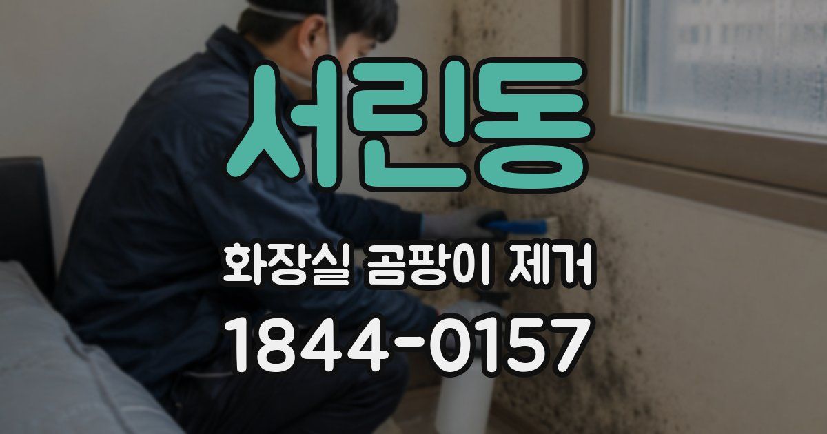 서린동 화장실 곰팡이 제거