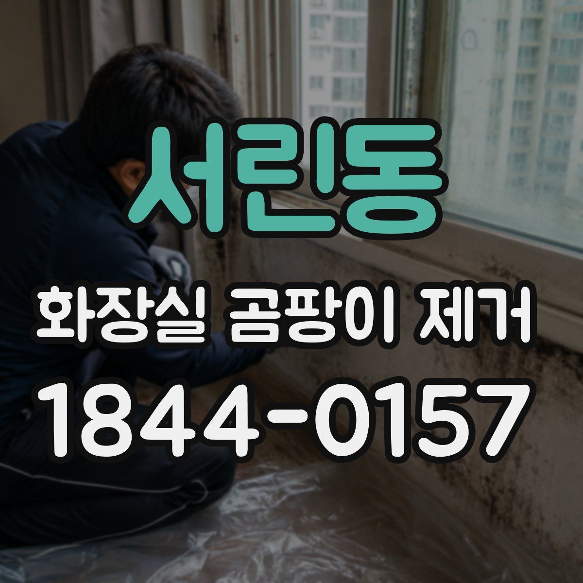 서린동 화장실 곰팡이 제거