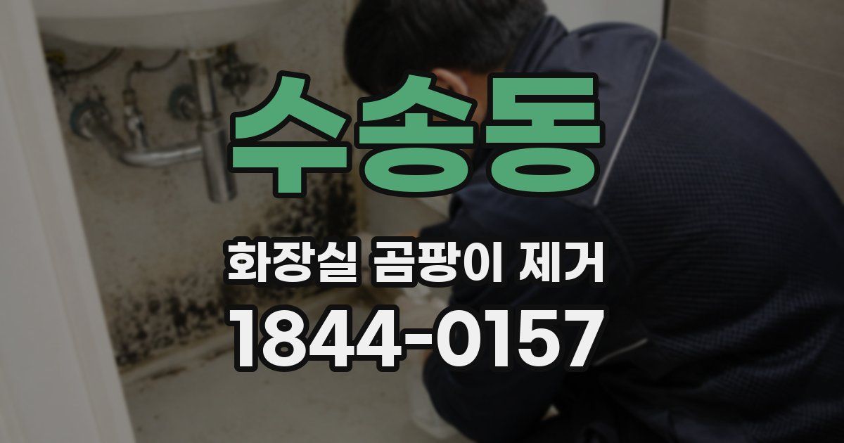 수송동 화장실 곰팡이 제거