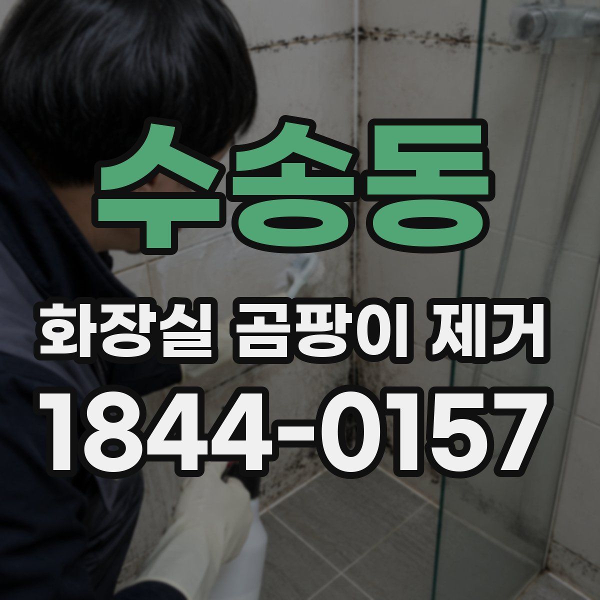 수송동 화장실 곰팡이 제거