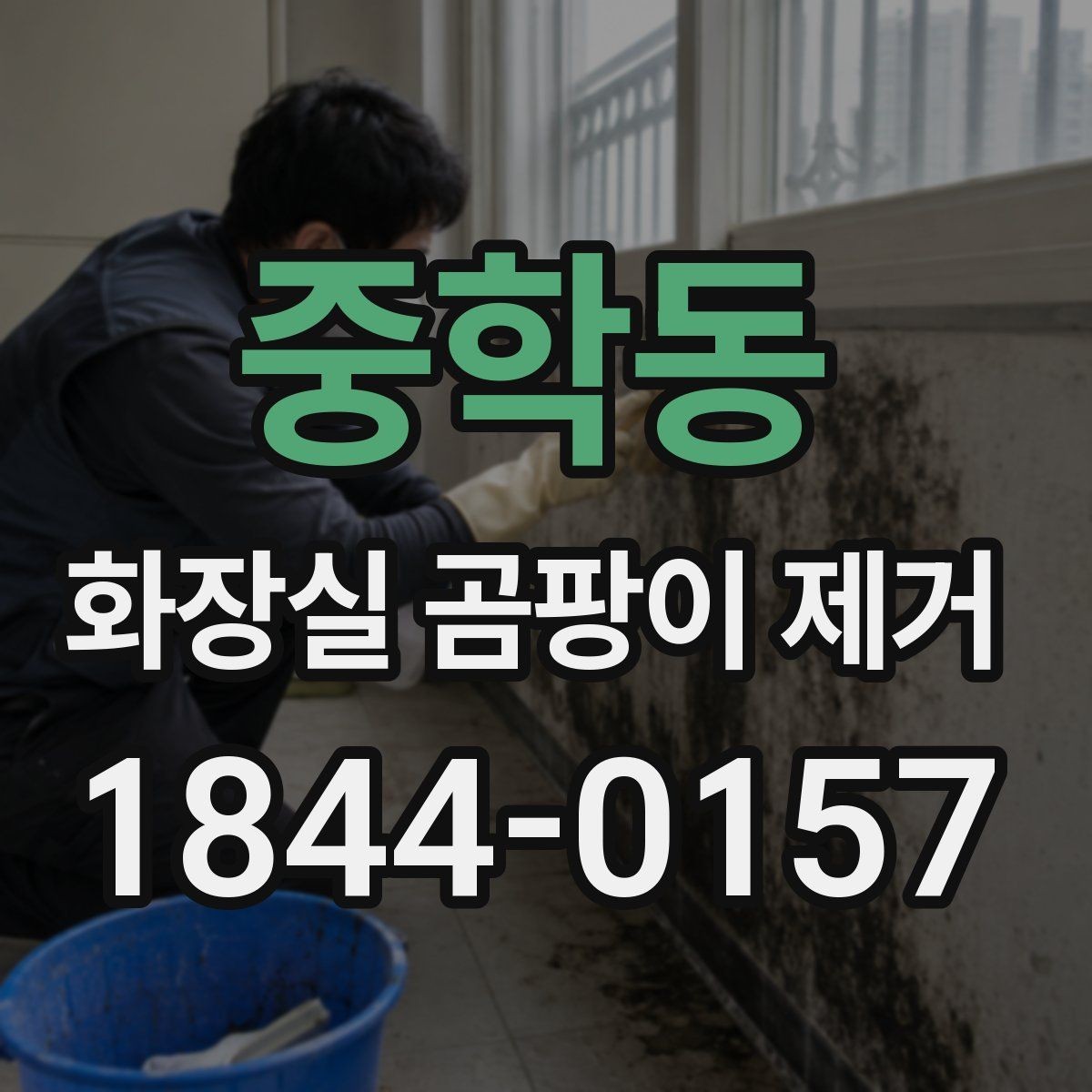 중학동 화장실 곰팡이 제거 타일과 줄눈을 깔끔하게 닦는 방법