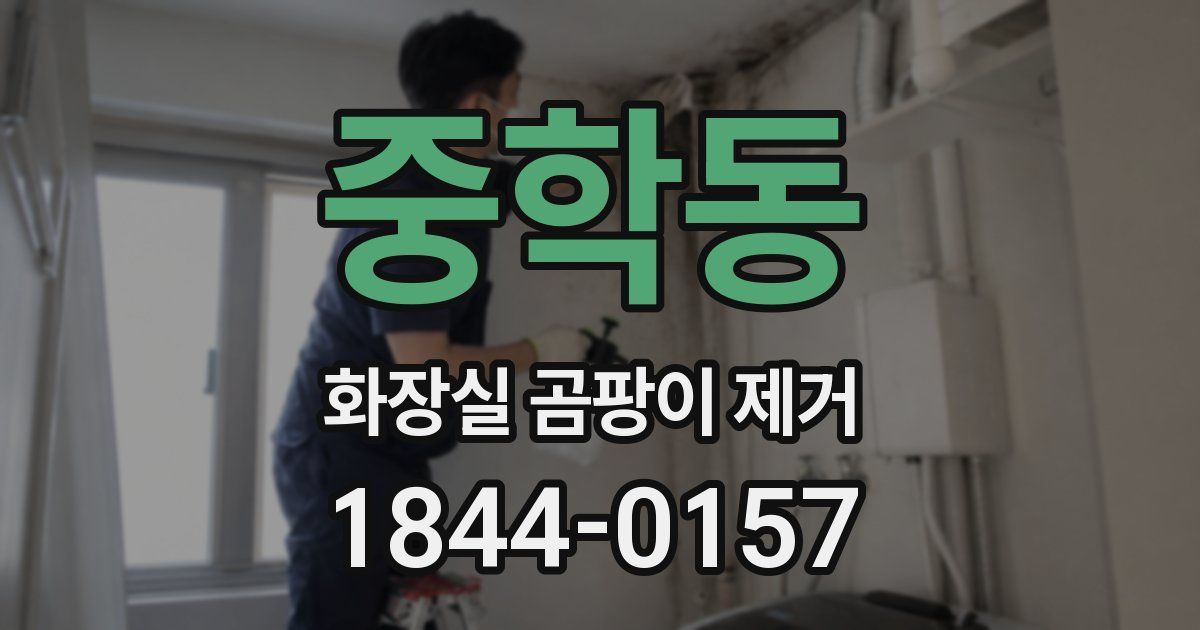 중학동 화장실 곰팡이 제거