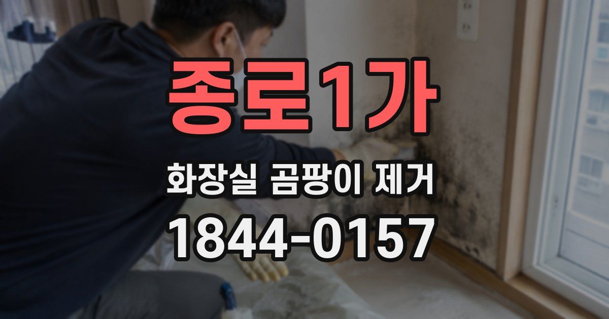 종로1가 화장실 곰팡이 제거