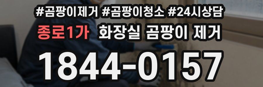 종로1가 화장실 곰팡이 제거