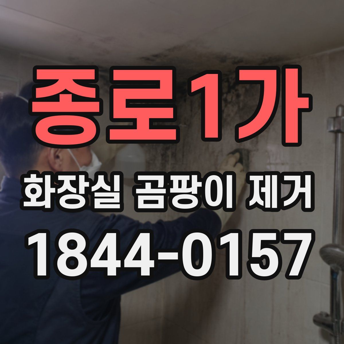 종로1가 화장실 곰팡이 제거