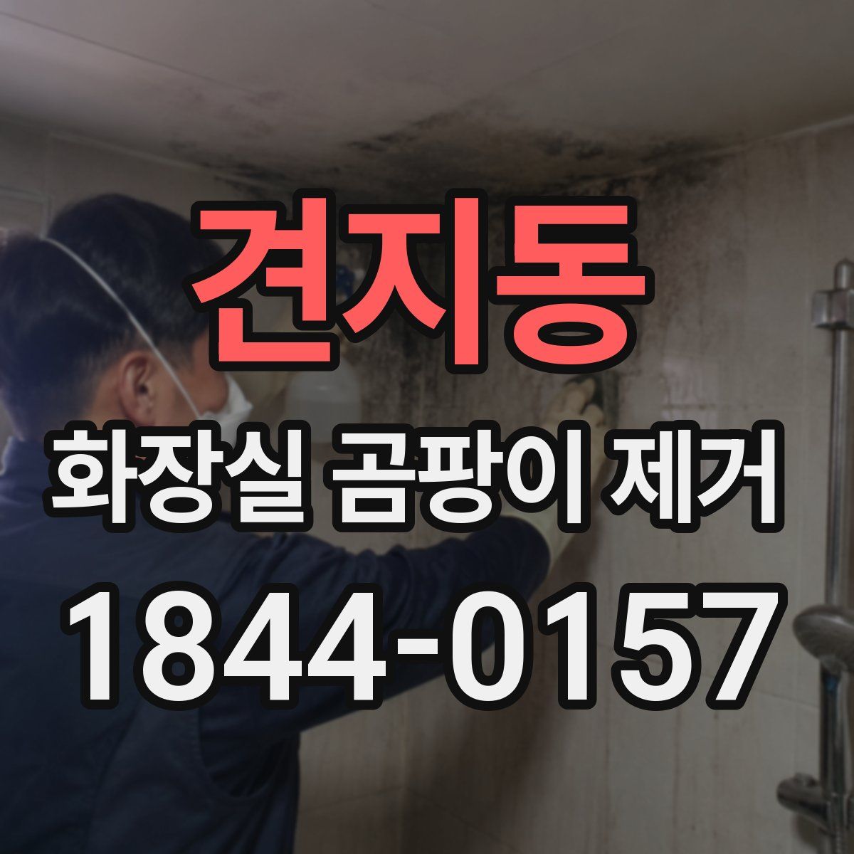 견지동 화장실 곰팡이 제거