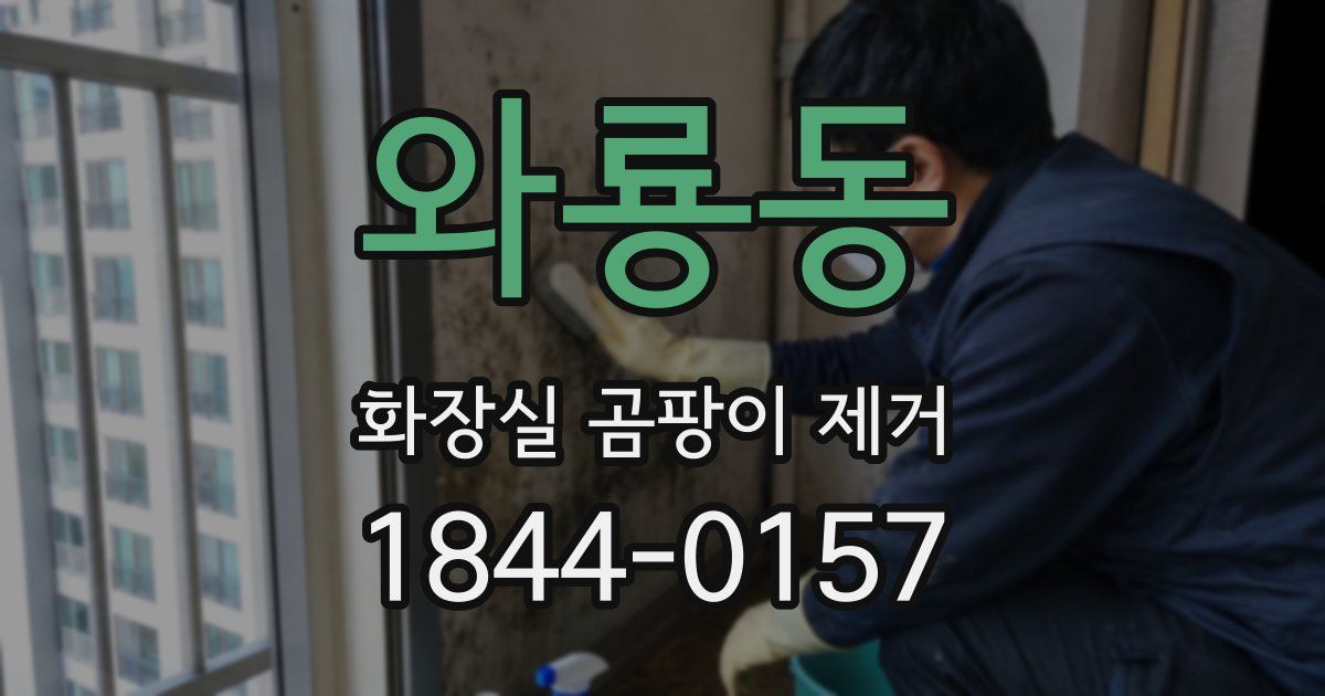 와룡동 화장실 곰팡이 제거