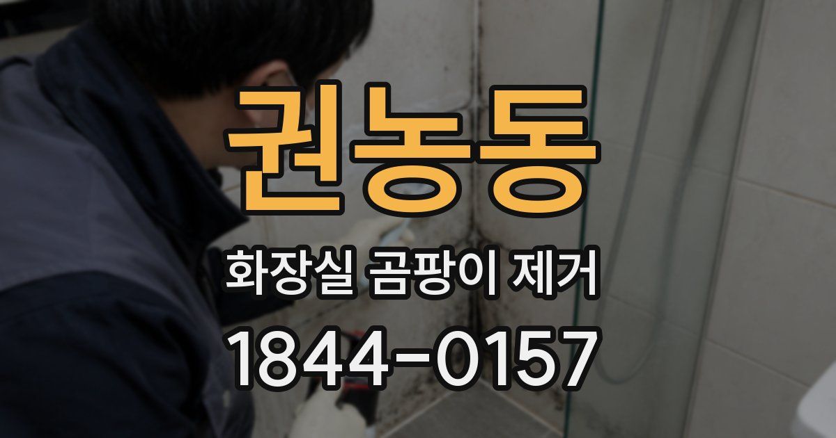 권농동 화장실 곰팡이 제거