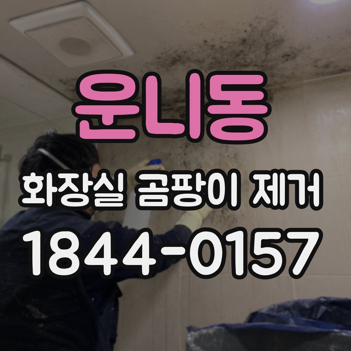 운니동 화장실 곰팡이 제거 세정제보다 먼저 확인할 작업 순서