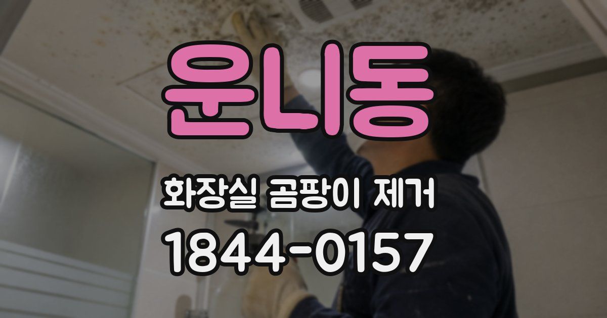 운니동 화장실 곰팡이 제거