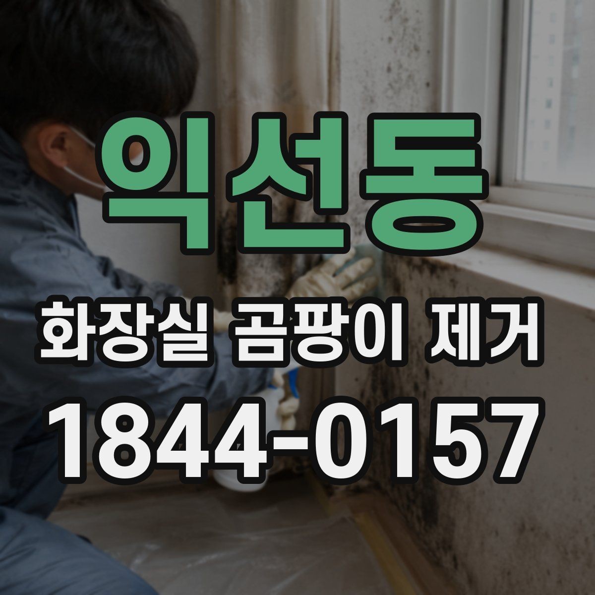 익선동 화장실 곰팡이 제거 바닥 배수 주변까지 확인해야 하는 이유